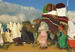 TUNISIE Mariage Traditionnel // TUNISIA Traditional Wedding - Nozze