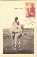 Colonie Française - Mauritanie - Boghe - Camel Driver - Carte Maximum - Affranchissement Recto/verso - 1945 - Covers & Documents