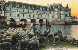 FRANCE - Chenonceaux - Le Château - La Façade Orientale - Troupeau De Moutons - Colorisé - Carte Postale Ancienne - Chenonceaux