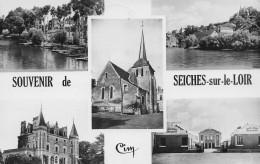 Seiches  -  Souvenir  - CPSM °J - Seiches Sur Le Loir