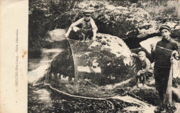 43 Saugues  Pêche D'autrefois  Saumon Saumons - Saugues