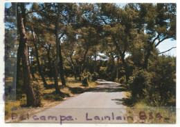 - 552 - AUBAGNE - La Bonne Jeanne,une Allée Dans La Pinède, Clinique Climatique, Non écrite, , TTBE, Scans. - Aubagne