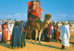 Tunisie :Mariage Traditionnel Sur La Jehfa Au Sud De La Tunisie // Tunisian Traditionnal Wedding - Nozze