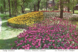 OTTAWA, ONTARIO, TULIP FESTIVAL, PARK, CANADA - Ottawa