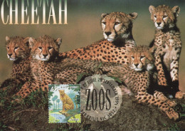 Australien 1994. Tiere In Australischen Zoos, Gepard (Acinonyx Ubates), Mi 1430, Maximumkarte, Bedarf - Storia Postale