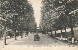 Laon * Promenade De La Couloire * Villageois - Laon