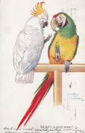 Lawson Wood - Parrots Old Postcard Ed Primus Berlin - Wood, Lawson