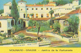 Carte Parfum Jardin De La Parfumerie MOLINARD - GRASSE - Oud (tot 1960)