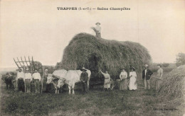 78 - TRAPPES _S24127_ Scène Champêtre - Agriculture - Trappes