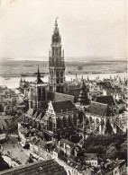 BELGIQUE - Antwerpen - Vue Générale Et Cathédrale - Carte Postale Ancienne - Antwerpen