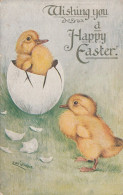 Louis Wain - Happy Easter , Chicks Old Postcard 1926 - Wain, Louis