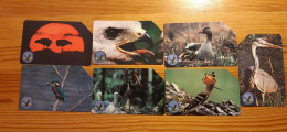 Phonecard Set Poland - Narwianski National Park, Birds - Polonia