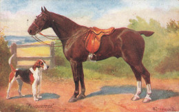 Chevaux Horse * CPA Illustrateur * Cheval * Race * Favourites * Oilette Raphael Tuck & Sons N°9561 * Chien Dog - Cavalli