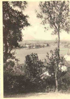 Delcampe - VISE - Visé