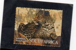 2007 Sud Africa - Leopardo - Gebruikt