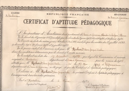 Montauban (82)  Diplome Certificat D'aptitude Pédagogique 1924  (M6049) - Diplômes & Bulletins Scolaires