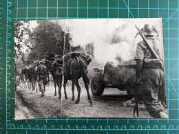 PHOTOS GRAND FORMAT VIETNAM GUERRE CHEVAUX JEEP - Asie