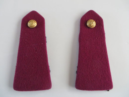 Epaulettes Du Service Santé Des Armées. - Ecussons Tissu