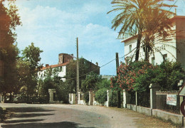 Solenzara * Rue Et Un Coin Du Village * Hôtel * Corse Du Sud 2A - Autres & Non Classés