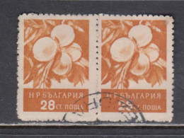 Bulgaria 1956 - Fruits, 28 St., Mi-Nr. 992 Paar, Rare Perforation 10 3/4, Used - Gebraucht