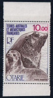 T.A.A.F. Poste Aérienne N°48 - Neuf ** Sans Charnière - TB - Poste Aérienne