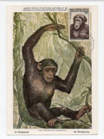 !!! AOF CARTE MAXIMUM CHIMPANZE CACHET DE DAKAR DU 2/5/1955 - Lettres & Documents