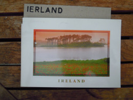 Ierland Ireland E   Used Circulé Gelopen - Autres & Non Classés