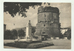 CARRARA - PIAZZA MAZZINI - NV FG - Carrara