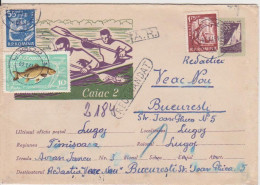 SPORT CANOE KAYAK ROMANIA POSTAL STATIONERY 1962 - Kanu