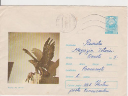EAGLE BIRD BIRDS ROMANIA POSTAL STATIONERY 1971 - Aigles & Rapaces Diurnes