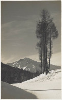 Motiv Aus Seefeld 1931 - Seefeld