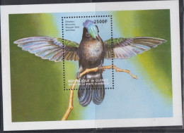 BIRDS - GUINEE REP -  HUMMINGBIRD SOUVENIR MINT NEVER HINGED - Segler & Kolibris