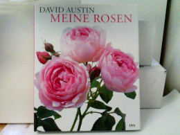 Die Englischen Rosen. - Natura