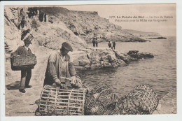 PLOGOFF - FINISTERE - LA POINTE DU RAZ - LE PORT DE BESTREE - PREPARATIFS POUR LA PECHE AUX LANGOUSTES - Plogoff