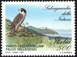 Italie. Italy. Faucon Pèlerin. 1991  Peregrine Falcon. - Aigles & Rapaces Diurnes