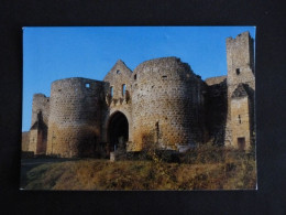 DOMME - DORDOGNE - LA PORTE DES TOURS - Domme