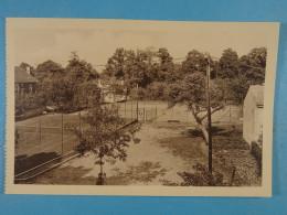 Loverval Faisan Doré Les Cours De Tennis - Gerpinnes