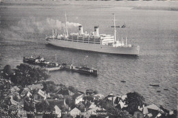 D7148) M.S. ITALIA Auf Der Elbe Vor HAMBURG BLANKENESE - Häuser U. Dampfschiff ALT 1956 - Blankenese