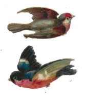 Découpis Gaufrée Oiseaux Année 1900 - Tiere