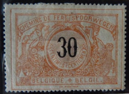 BELGIUM :   1895  - CHEMINS DE FER - CF  19 * -  COTE : 36,00€ - Neufs