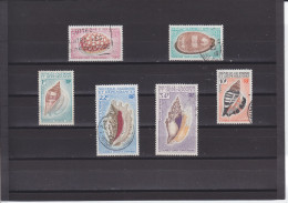 NOUVELLE CALEDONIE - O / FINE CANCELLED - 1970 - SHELLS - Yv. 368/71, PA. 113, 115  -  Mi. 486/7, 494/5, 496/7 - Used Stamps