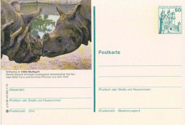 129  Rhinocéros, Zoo: Entier (c.p.) D'Allemagne, 1979 - Rhinoceros, Stuttgart Zoo: Stationery Postcard From Germany - Rhinozerosse