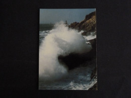 PLOGOFF - FINISTERE - LA POINTE DU RAZ ET LE PHARE DE LA VIEILLE - Plogoff