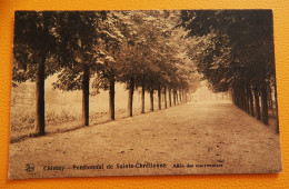 CHIMAY  -  Pensionnat De Sainte Chrétienne - Allée Des Marronniers - Chimay