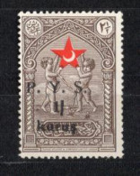 1938 - 1939 TURKEY ERROR P.Y.S. OVERPRINT 2ND ISSUE STAMP IN AID OF THE TURKISH SOCIETY FOR THE PROTECTION OF CHILDREN - Liefdadigheid Zegels