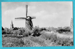 * Domburg (Zeeland - Nederland) * (Dert Domburg, Nr 664) Molen, Moulin, Mill, Muhle, Vue Générale, Panorama - Domburg