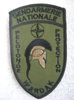 ECUSSON GEND. PELOTON DE PROTECTION WARDAK OPEX OTAN ETAT EXCELLENT SUR SCRATCH - Police
