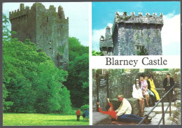 (EU)  PC 200 Cardall -multiviews Blarney Castle,Co.Cork,Ireland.used+timbres Yv 256 Paire Animaux Stylisés 1975 - Cork