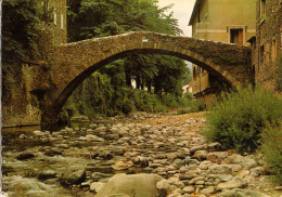 30 - VALLERAUGUE - LE PONT DE LA CONFRERIE SUR L'HERAULT - Valleraugue