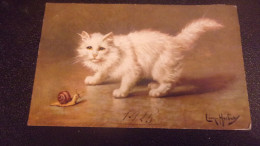 CHAT CAT KATZE ILLUSTRATEUR LEON CHARLES HUBERT 1926 ESCARGOT - Katzen